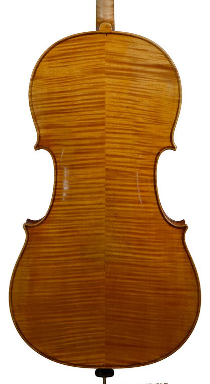 Celloboden Paul Knorr