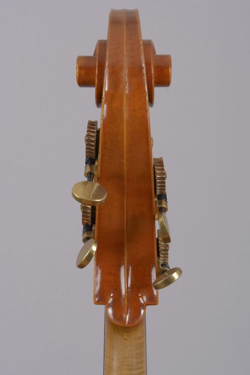 Kontrabassschnecke de la Dyle